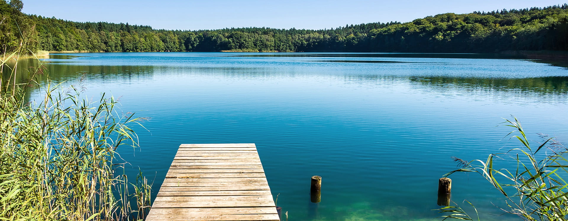 Kontakt zu Ihrem Makler am Bodensee 