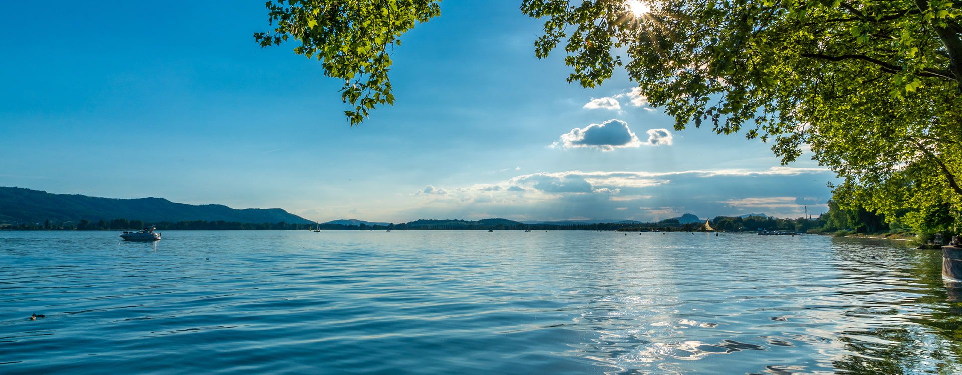 Wir haben Käufer für Immobilien am Bodensee in guten Lagen