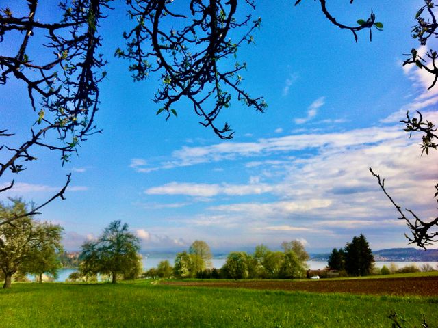 Konstanz Aussicht Neubau