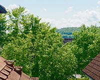 Ausblick Richtung Mindelsee